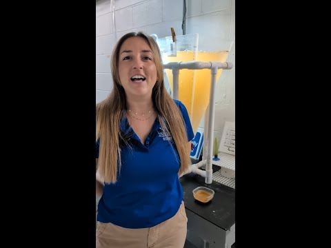 Brine Shrimp AquaCulture